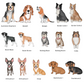The Dog Father add a personalized pet