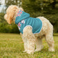 Personalized Dog Hoodie Cherry Blossoms