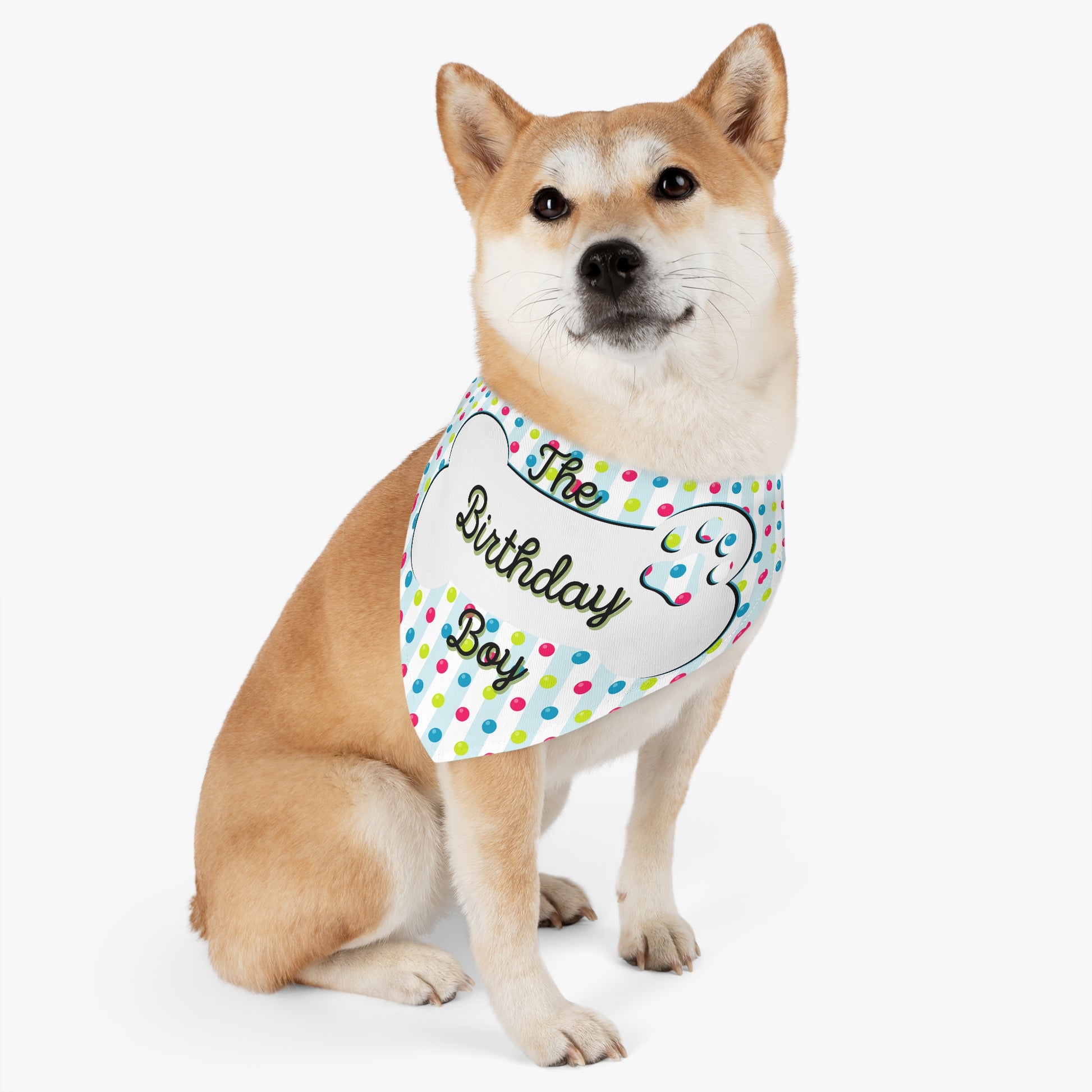 Princess Personalized Dog Hoodie – dogoncool