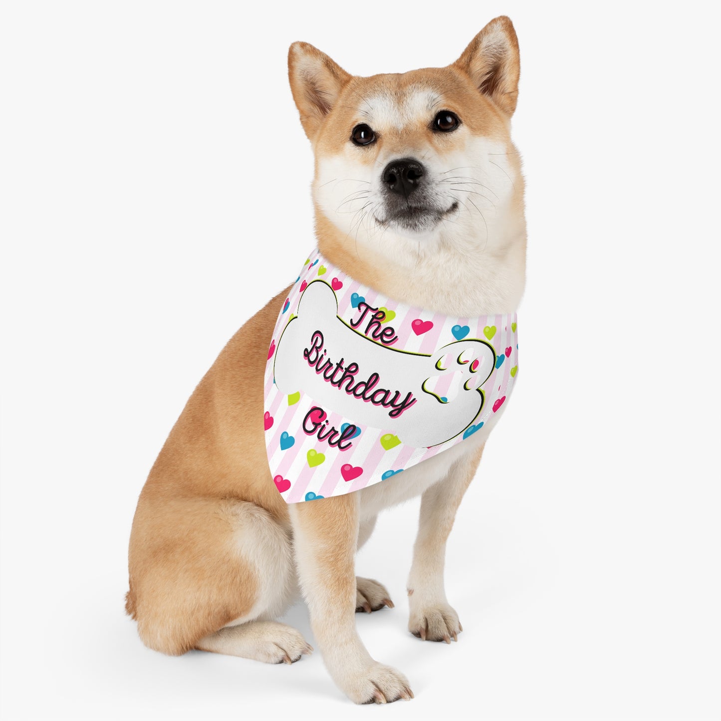 Birthday Dog Bandana, Over the Collar Dog scarf