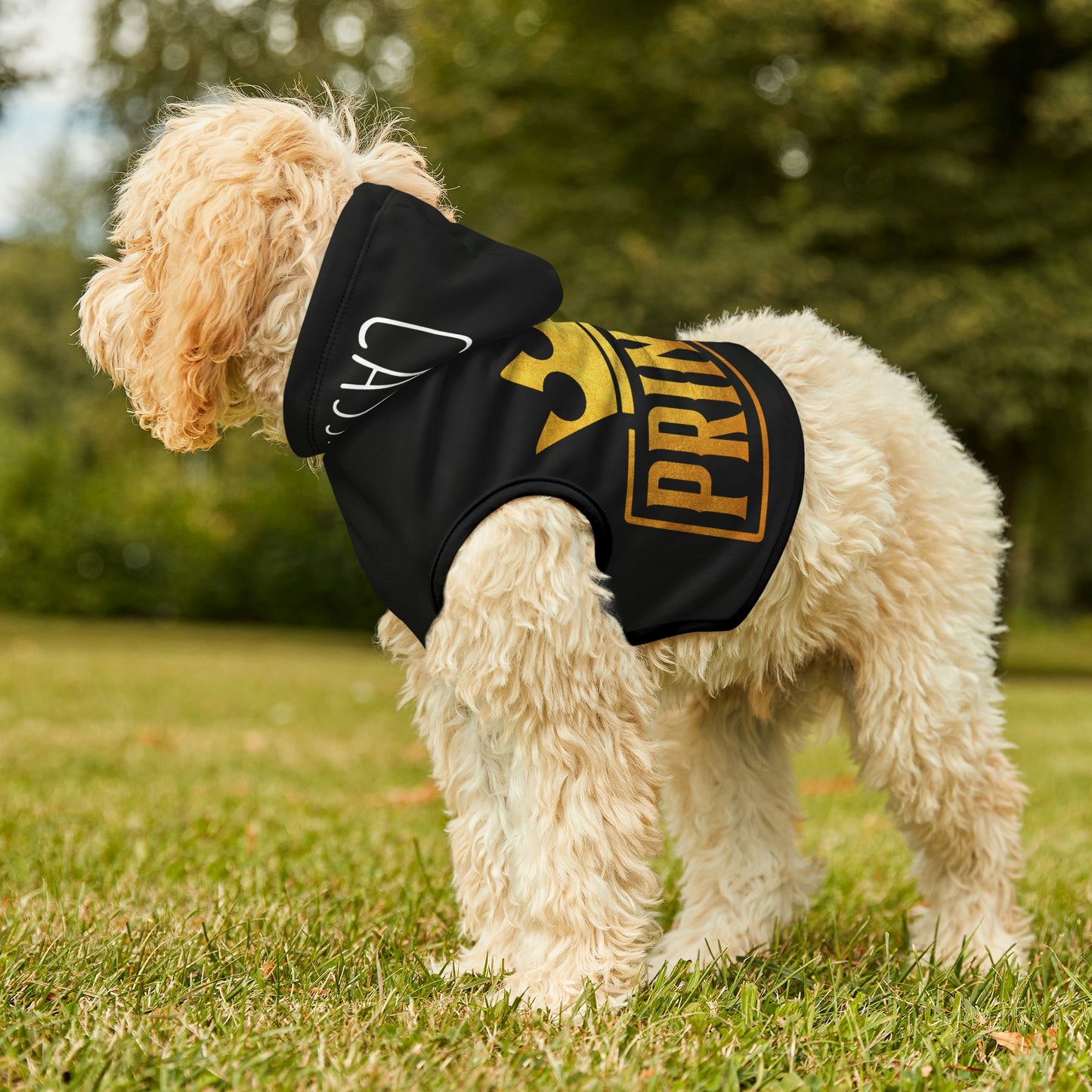 Princess Personalized Dog Hoodie