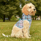 Personalized Dog Hoodie Plaid Dog